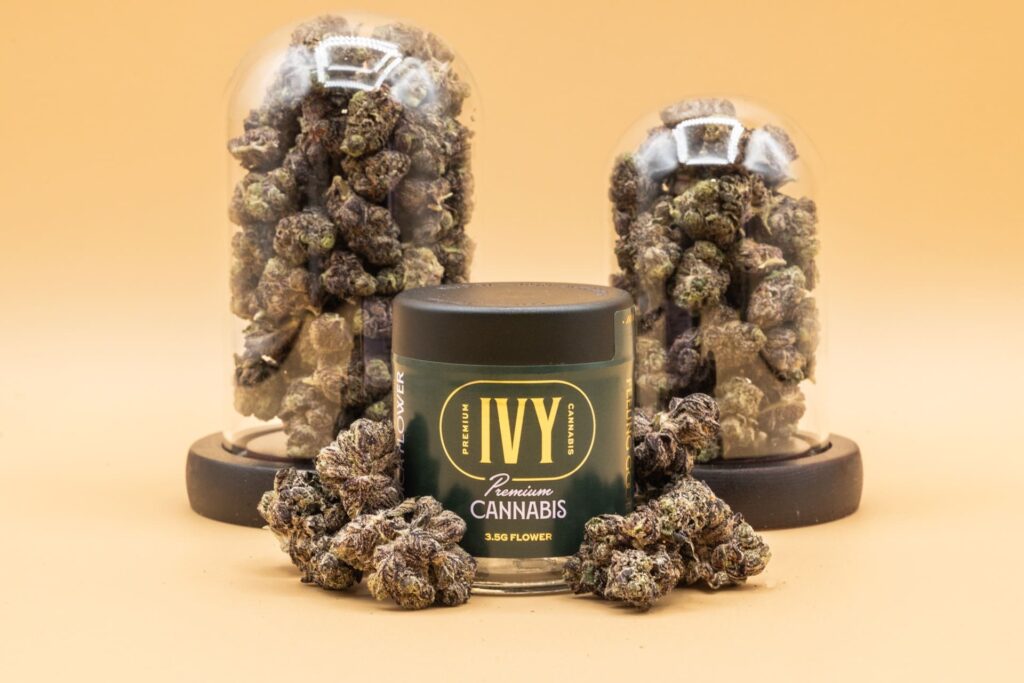 Ivy Hall Dispensary New Cannabis Strains