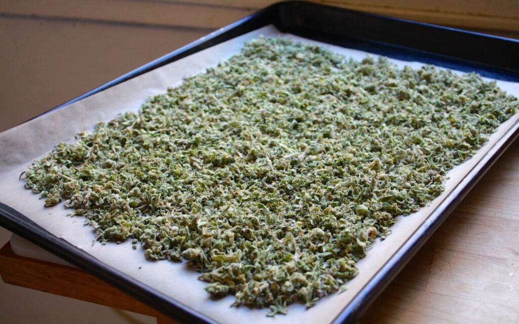 Cannabis Oven Decarboxylation