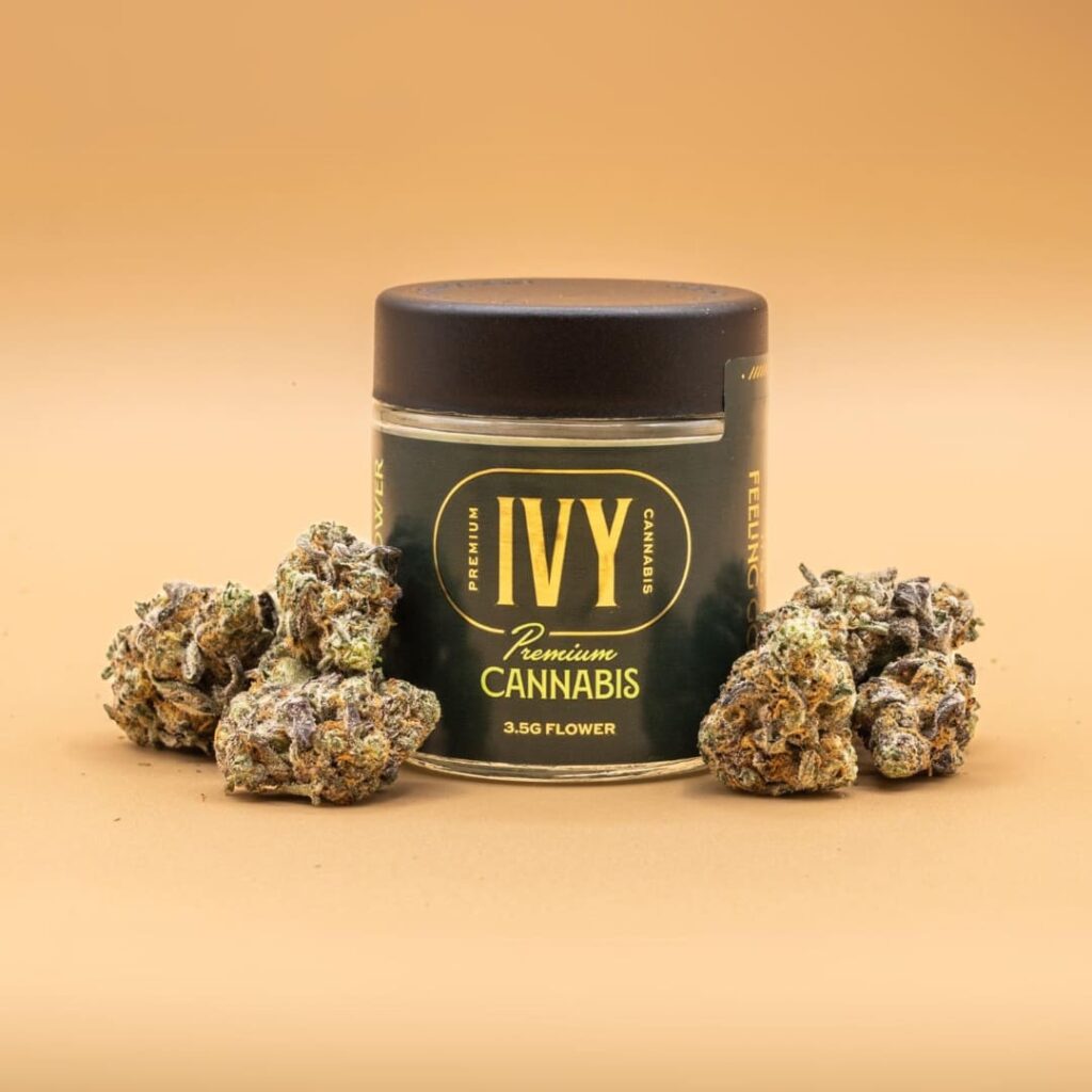 Ivy Premium: A Quality Flower by Ivy Hall