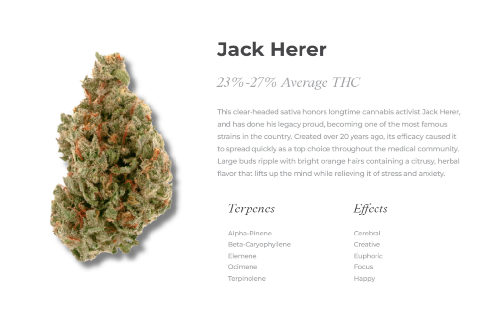 Jack Herer Strain Characteristics