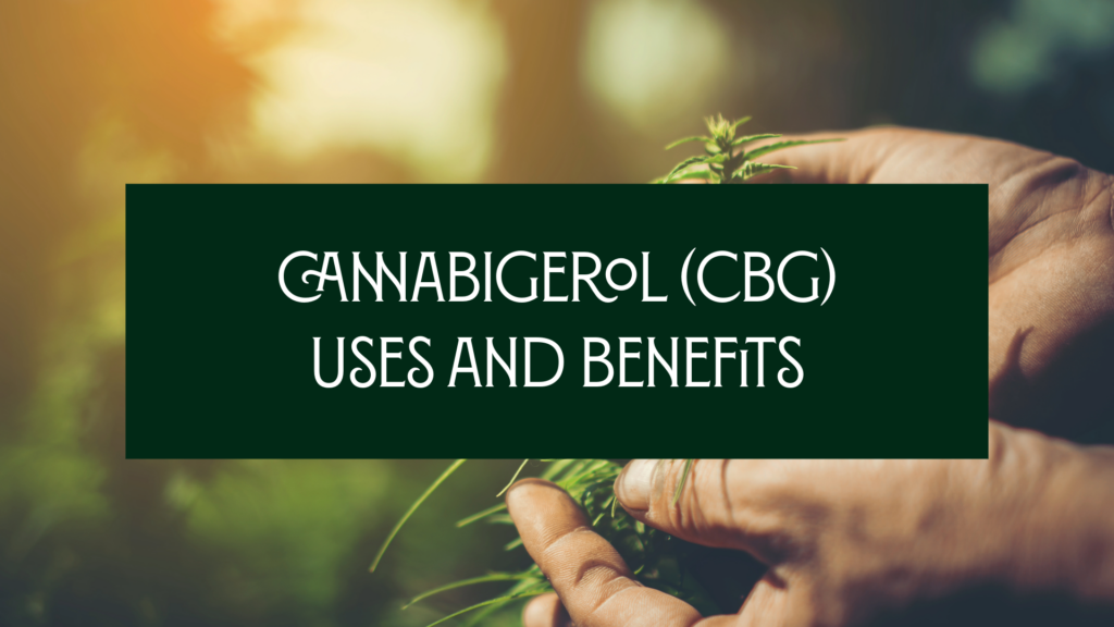 Cannabigerol (CBG) Uses and Benefits