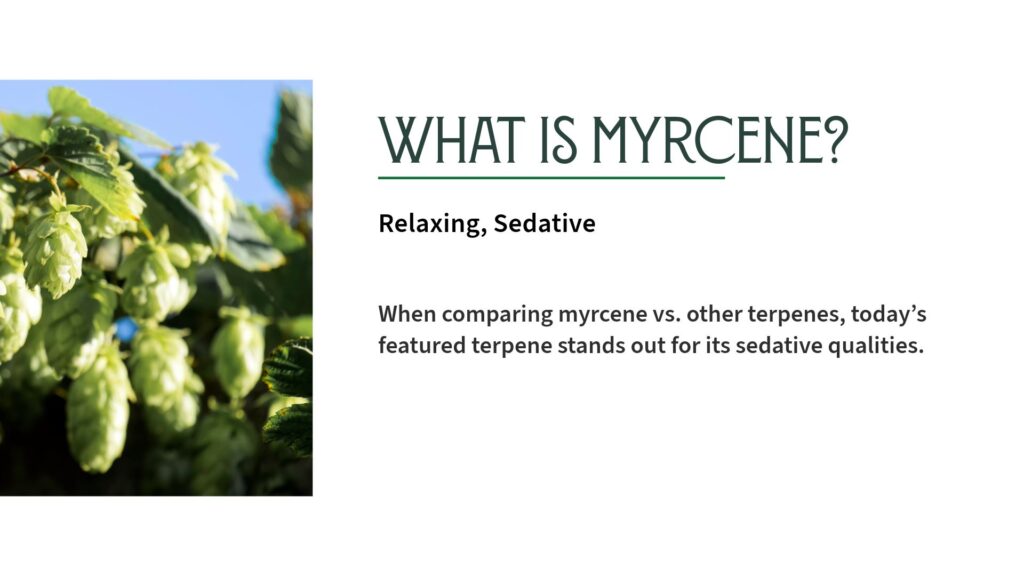 Myrcene vs. Other Terpenes