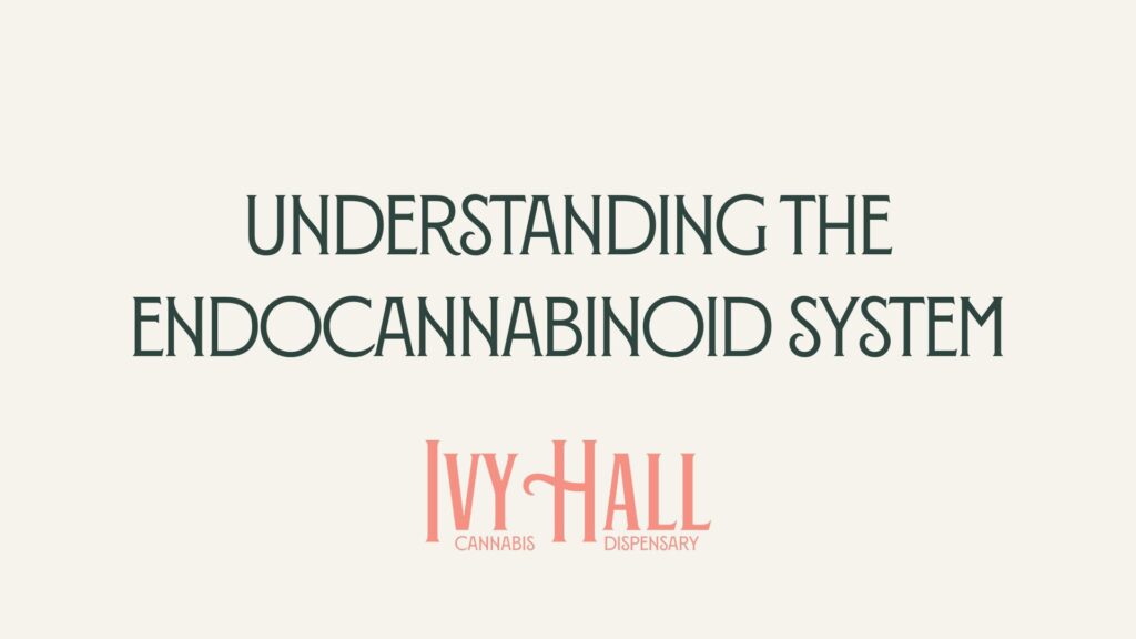 Understanding the Endocannabinoid System